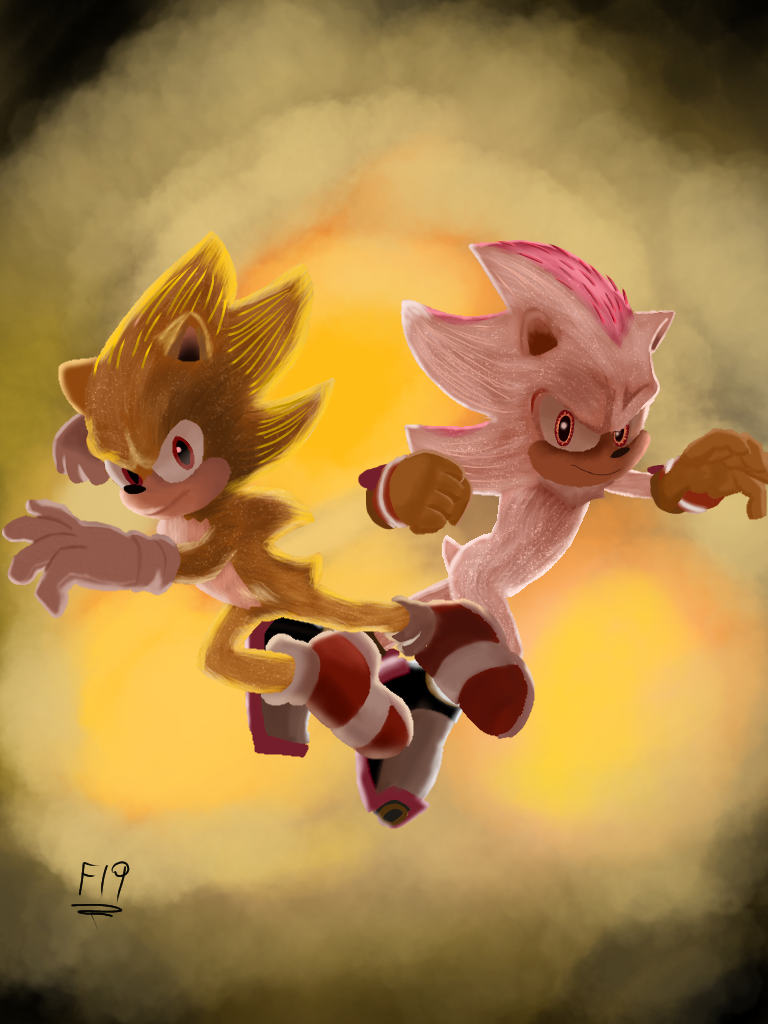 Sonic and shadow